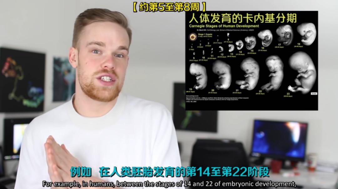 你身上哪些器官属于五官,你身上有哪些部位不能碰