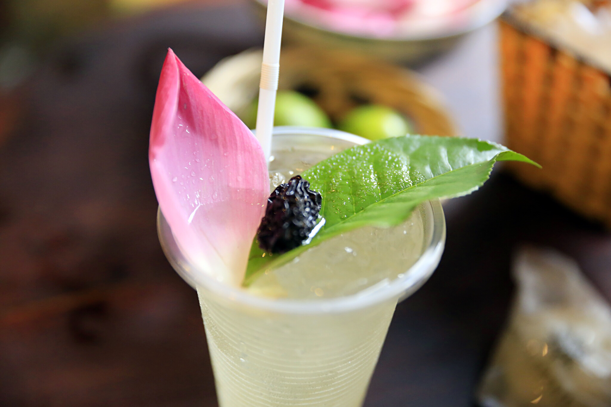 在越南会安古镇，喝一杯柠檬叶荷花茶、拍一次灯笼里的订婚照