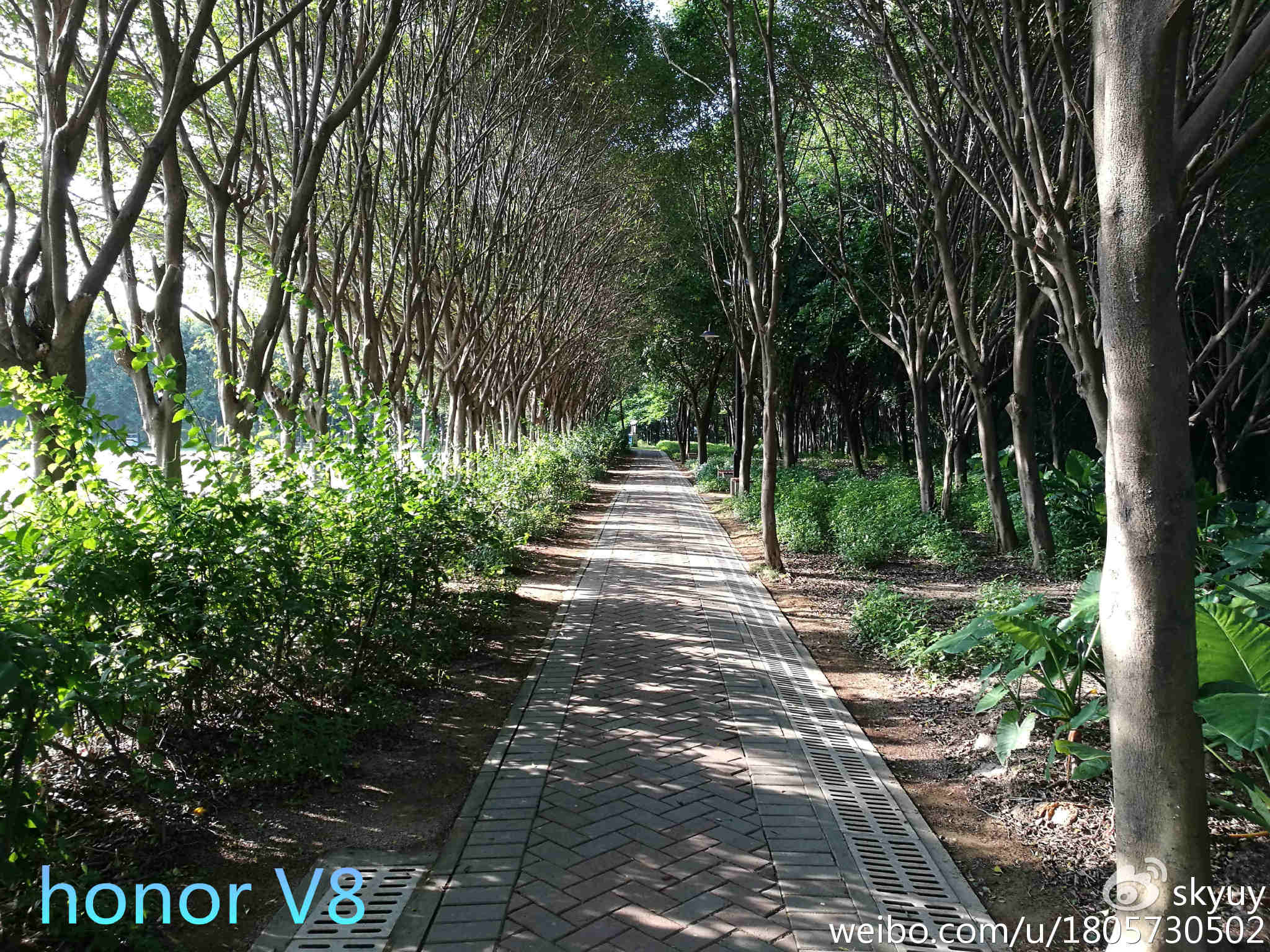 荣耀v8手机测评,荣耀至尊v8平板测评