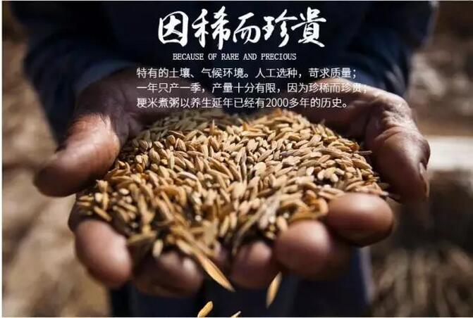 有机大米卖多少钱,有机大米的价格40元一斤