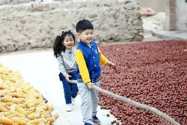 爸爸去哪儿第四季阿拉蕾和董力,爸爸去哪儿第四季免费观看完整