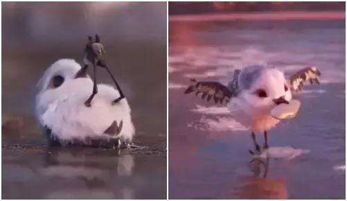 鸟是好鸟就是话多这幅图表达什么,鸟是好鸟是什么梗