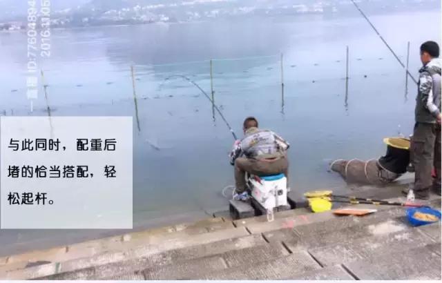 行营鱼竿x12什么价,行营鱼竿x12