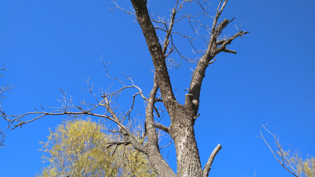 499元会玩出什么新花样？红米4A评测