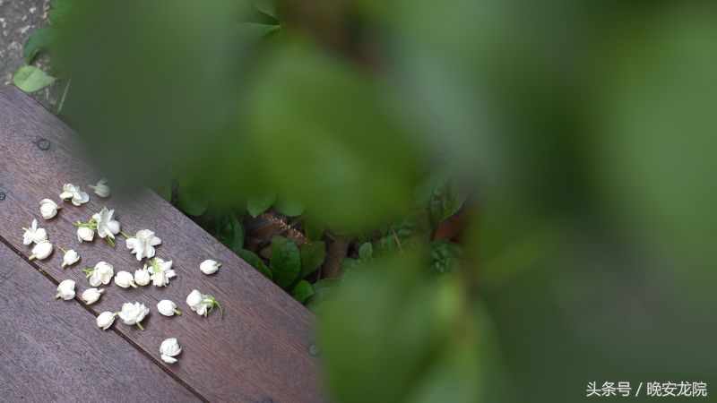 东浦老街,时间的故事动漫篇