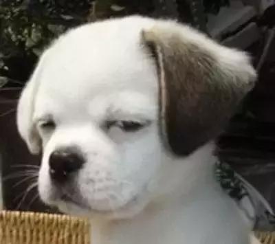 如何调侃钓鱼技术不行,新手钓鱼怎么调侃