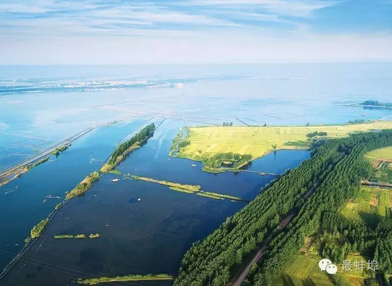 蚌埠市三县四区排名,蚌埠三大县