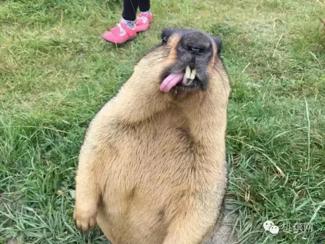 车友风采图片大全,车友的个人风采