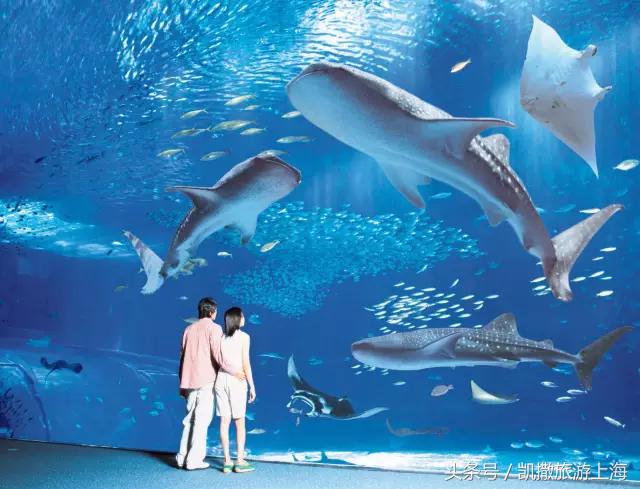 去冲绳有什么讲求,第一次去冲绳有什么好处