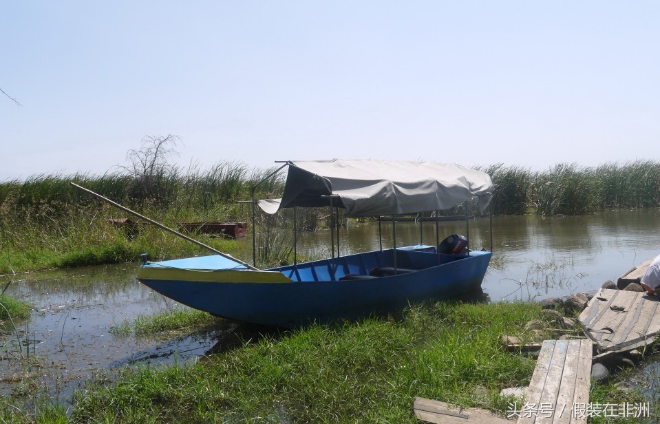 在非洲参观鳄鱼市场，原本想买些鳄鱼皮，没成想却误入鳄鱼窝