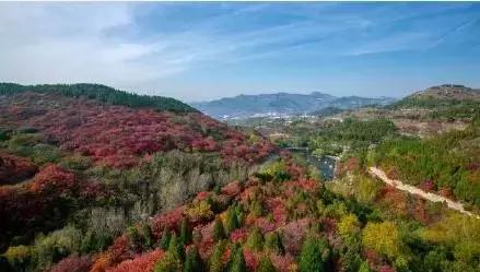 最近假期去哪里好点,假期去哪玩更合适