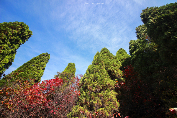 冬游红叶谷,看万山红遍层林尽染全文