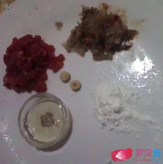 罗汉鱼常备用药,罗汉鱼药饵用什么药好