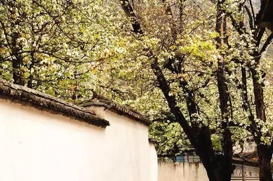 丽江至泸沽湖公路沿途风景,泸沽湖到丽江高速什么时候通车