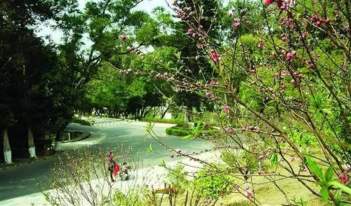 大亚湾滨海绿道最新视频,沿海绿道惠州