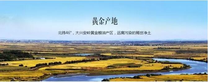 有机大米卖多少钱,有机大米的价格40元一斤