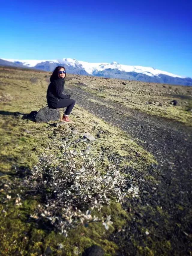 眼光*瞻高**，风景不请自来——传媒女郎的花艺跨界“小心机”