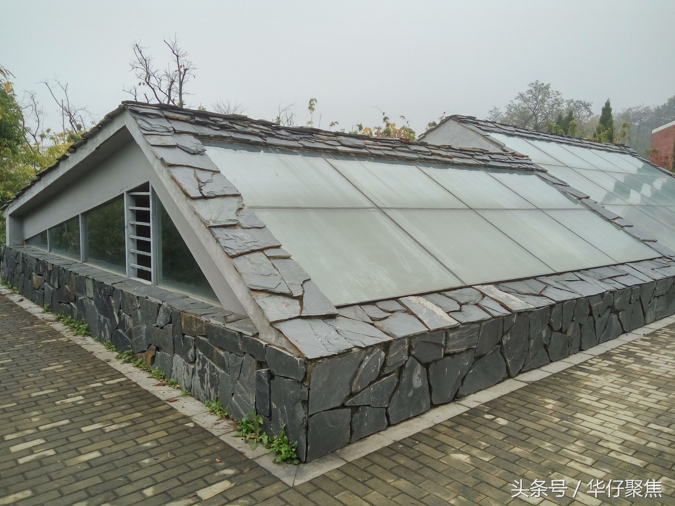 考古发现古墓舍利子,探寻3000座古墓解密摸金校尉