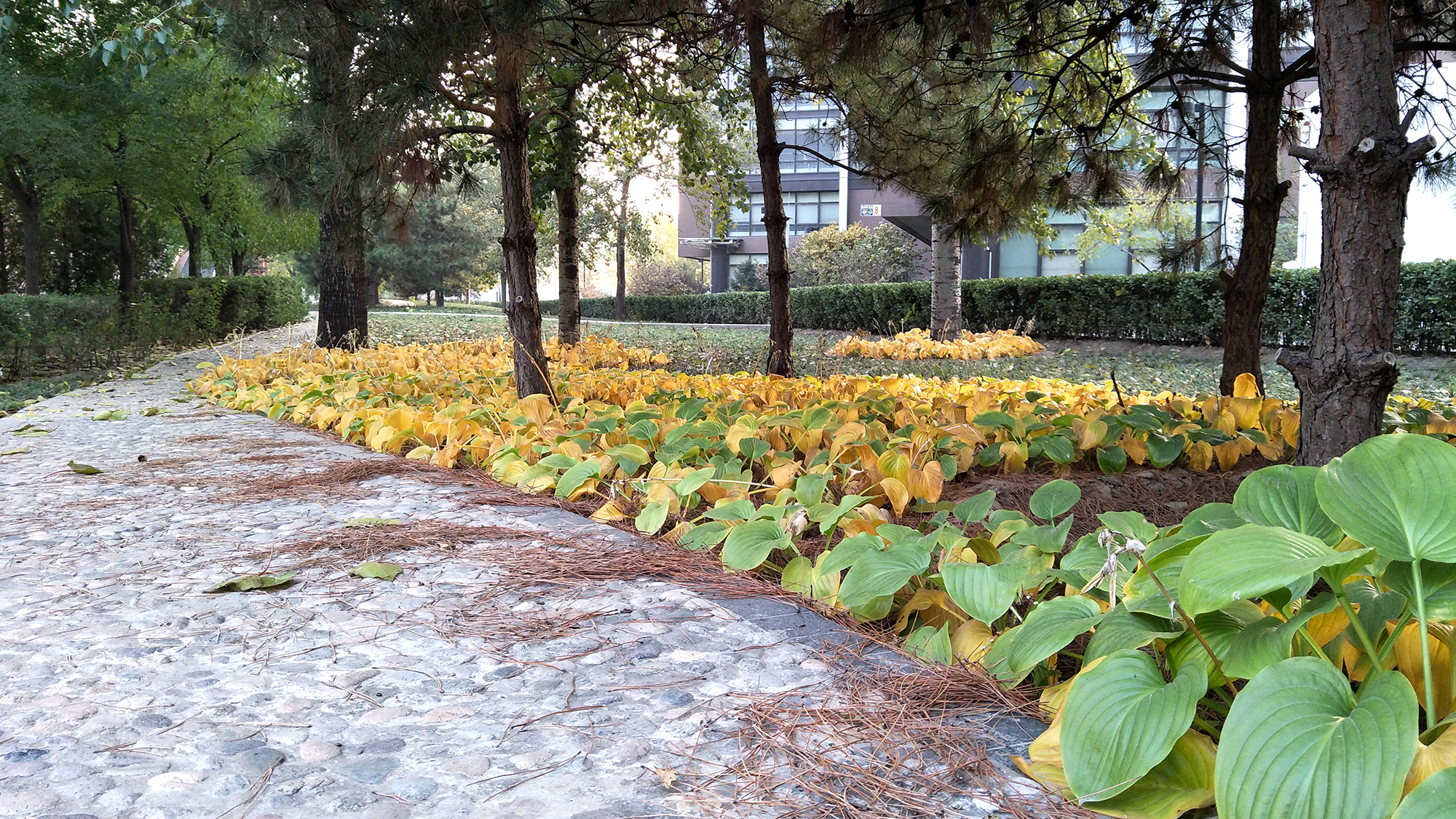 oppor9s深度测评,oppor9s测评王者