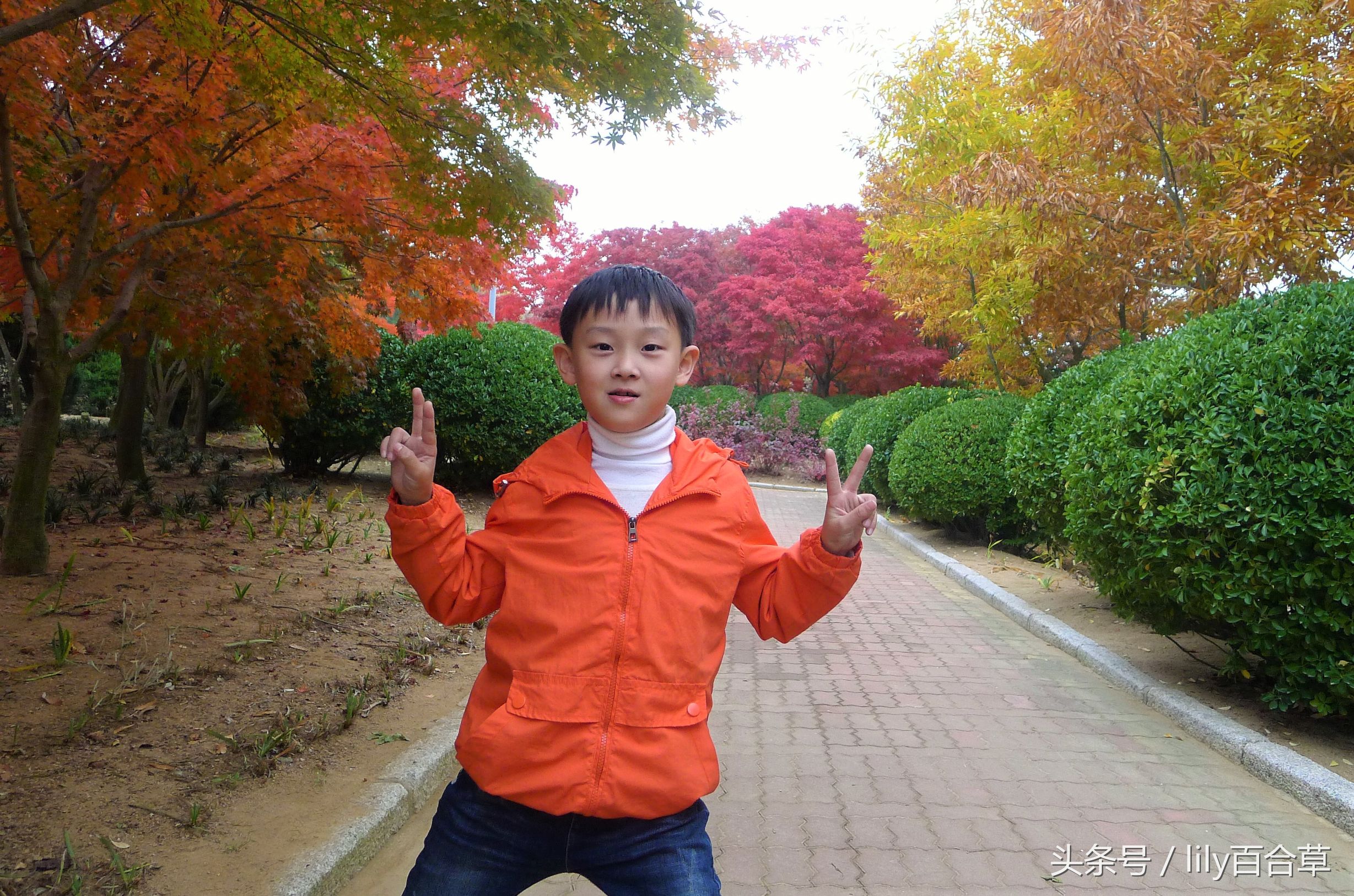 鬼马少年完整版,鬼马少年系列