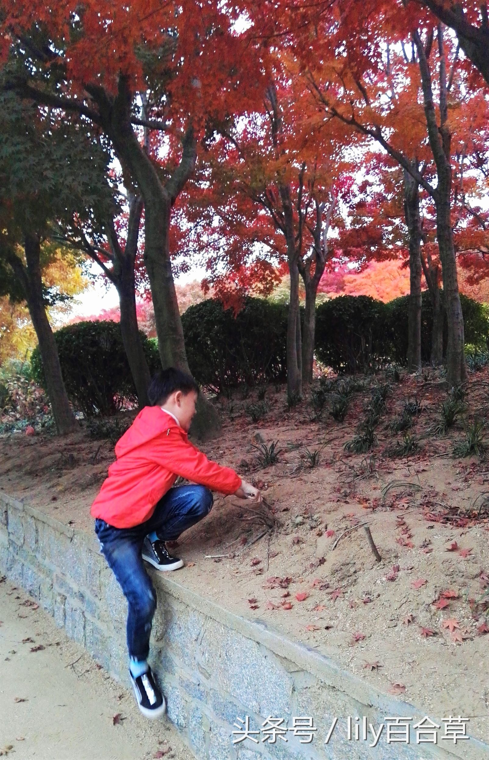 鬼马少年完整版,鬼马少年系列