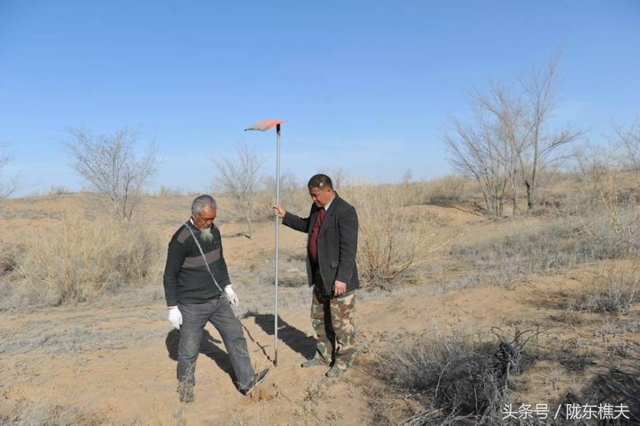 父子绿化沙漠,坚守独腿夫妻沙漠种出30万棵树