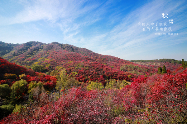 冬游红叶谷,看万山红遍层林尽染全文