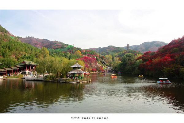 冬游红叶谷,看万山红遍层林尽染全文