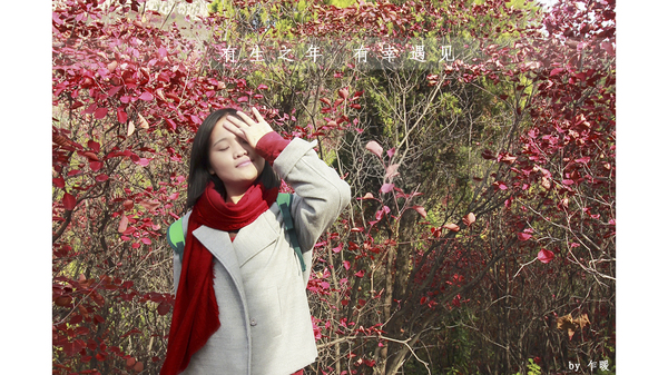 冬游红叶谷,看万山红遍层林尽染全文