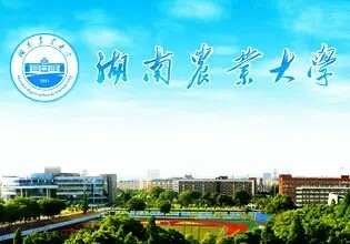 湖南的大学法学排名,湖南省法学院校排名
