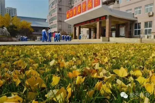 美呆了！被银杏包围的北京育英学校，在这里学习都是一种享受