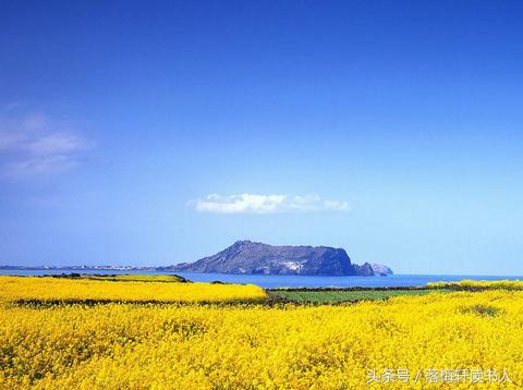 led销售新手入行方法,led销售新手需要了解什么