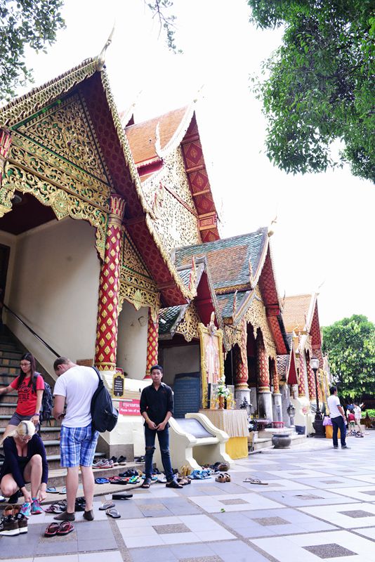 去泰国旅游要懂什么英语,去泰国旅游主要了解什么