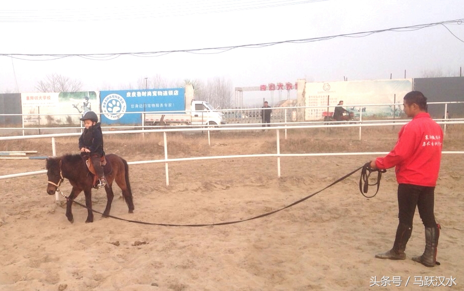 襄阳最小野骑手怎样练成（二）——上马术课