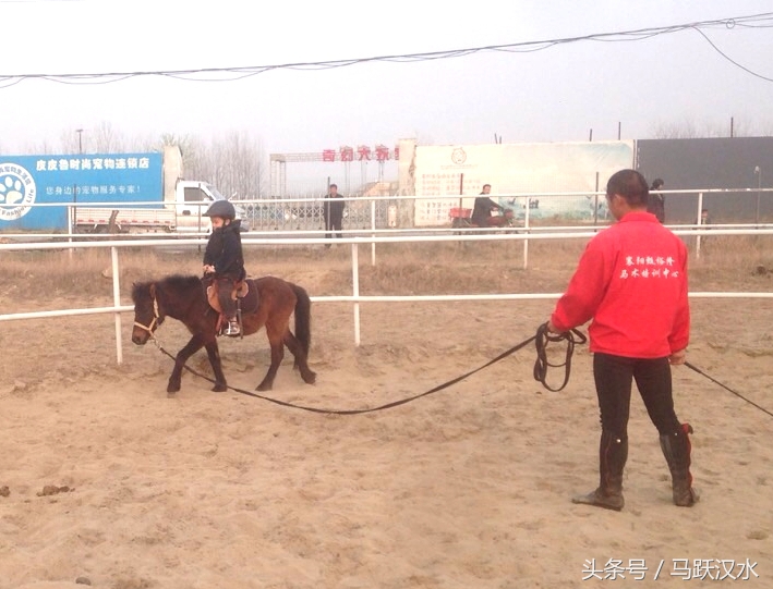 襄阳最小野骑手怎样练成（二）——上马术课
