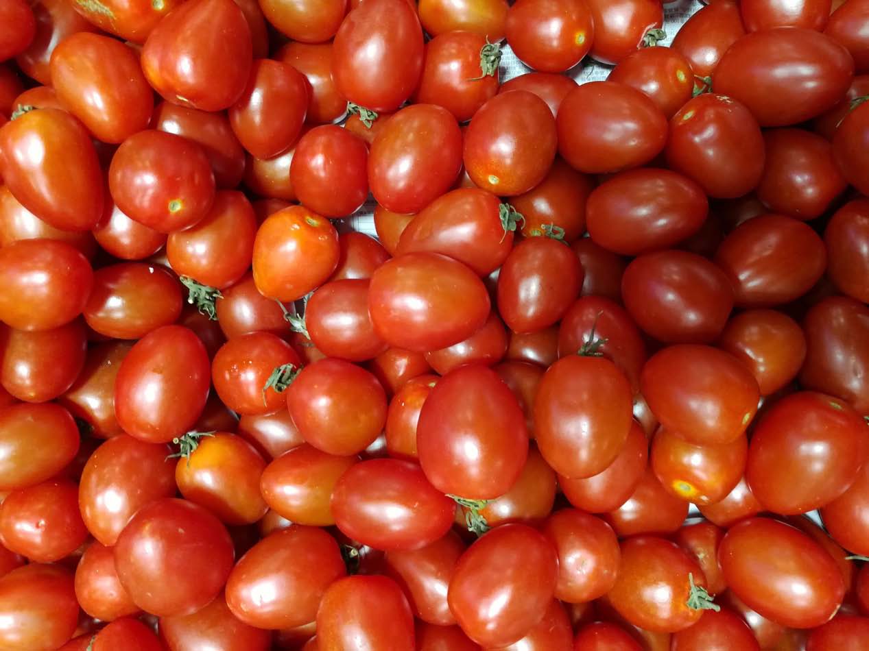 荣耀6至臻拍照,荣耀6x照相怎么样