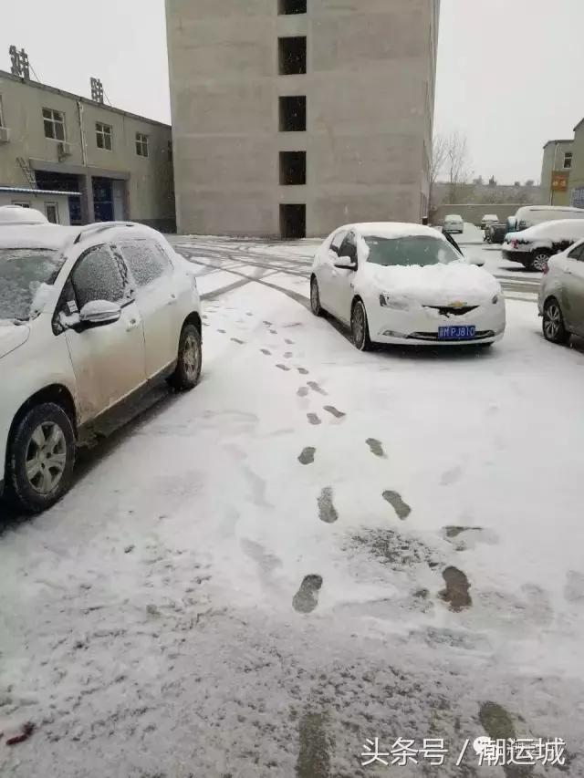运城雪景有多美,山西省运城市第一场雪