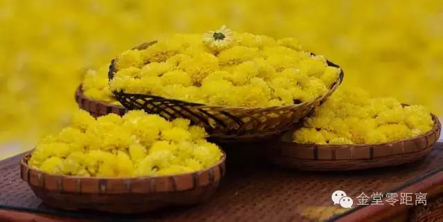 航拍金堂玉皇山,玉皇山登高金堂