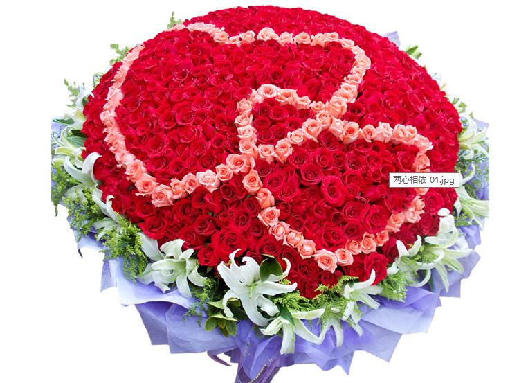 你知道有多少种不一样的玫瑰花,玫瑰代表着的是怎样的情感