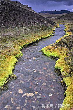 一本正经地说电商,电商辛酸史真实故事
