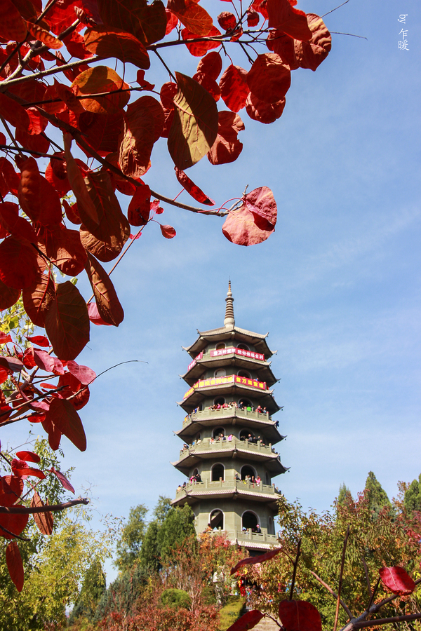 冬游红叶谷,看万山红遍层林尽染全文