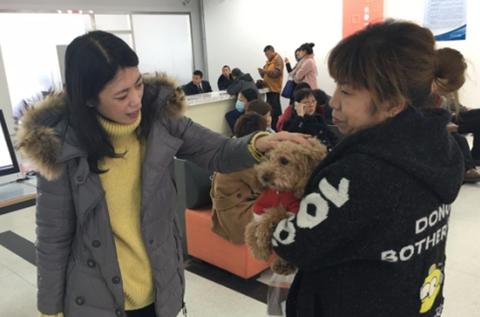 长春犬证怎么办,长春犬证怎么办理