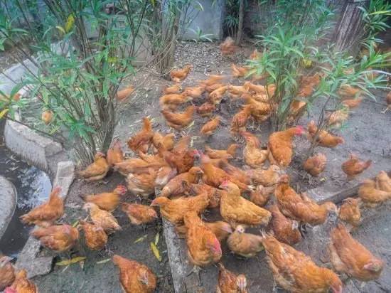 上海民宿100元左右,上海浦东民宿2个人100元以内