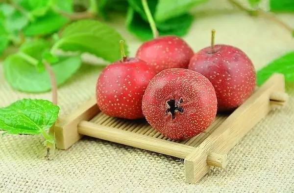 身边20种天然药，你都知道吗？