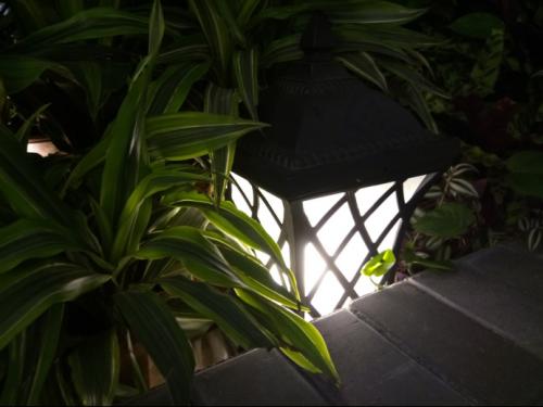 中兴bladea2plus价格,国产性价比高手机推荐