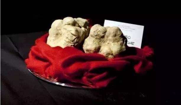 松露口味是什么特点,松露的味道为什么会让人终身难忘