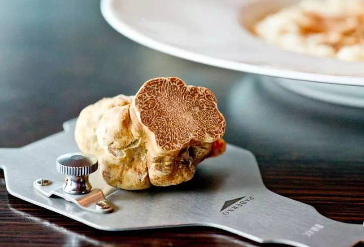 松露口味是什么特点,松露的味道为什么会让人终身难忘