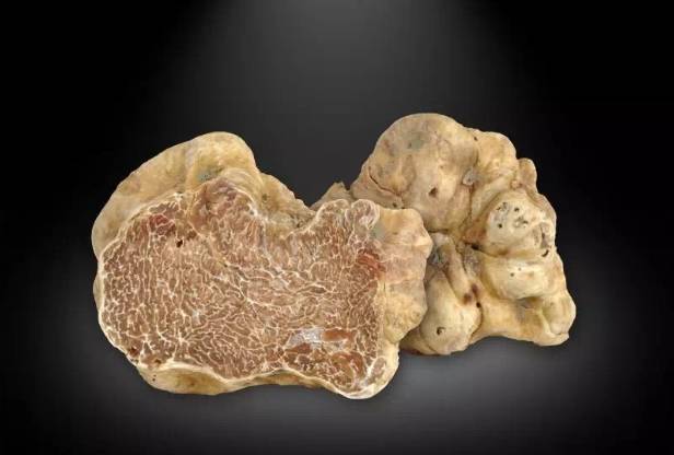 松露口味是什么特点,松露的味道为什么会让人终身难忘