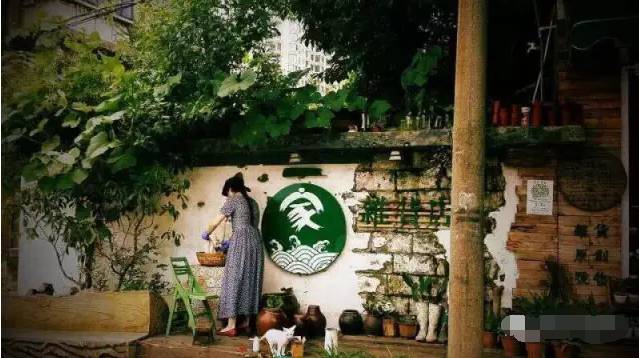 手工植物扎染,植物扎染制作过程