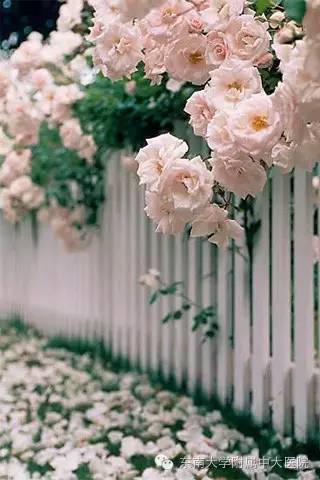 关于急诊抢救室的感悟,医院急诊室的感悟